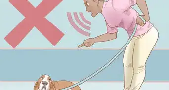 Train Your Dog to Walk or Heel Without a Choke Chain