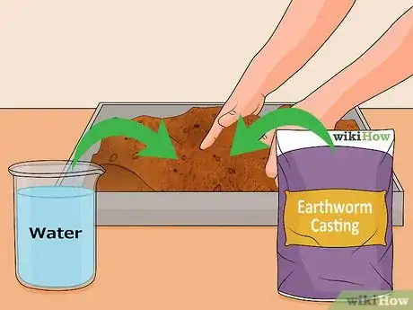 Image titled Grow Popcorn Shoots Step 8