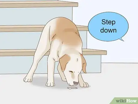 Image titled Train a Blind Dog to Handle the Stairs Step 13