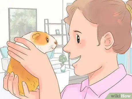 Image titled Care for Guinea Pigs Step 19