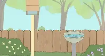 Attract Bats to a Bat House