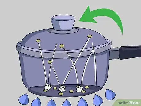 Image titled Pop Amaranth Step 4