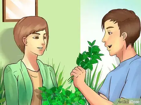 Image titled Buy Mint Plants Step 4