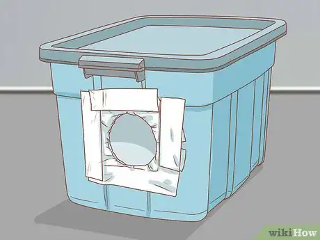 Image titled Protect Cats During Winter Step 1