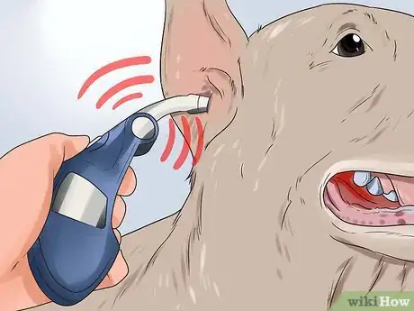 Image titled Check a Dog for a Fever Step 11