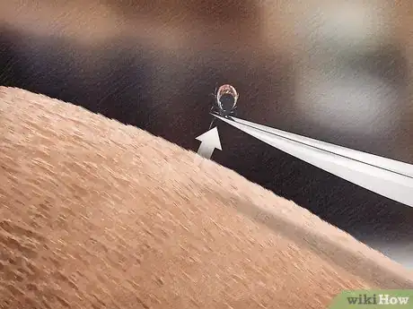 Image titled Remove a Tick from a Horse Step 3