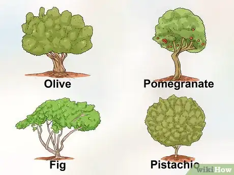 Image titled Garden in a Mediterranean Climate Step 3