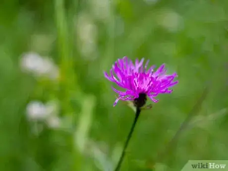 Image titled Appear Less Vulnerable Step 5