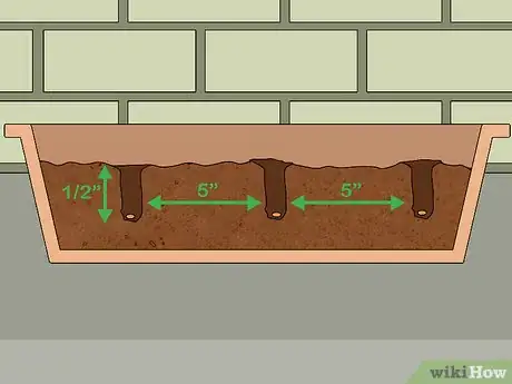 Image titled Harvest American Cress Step 4