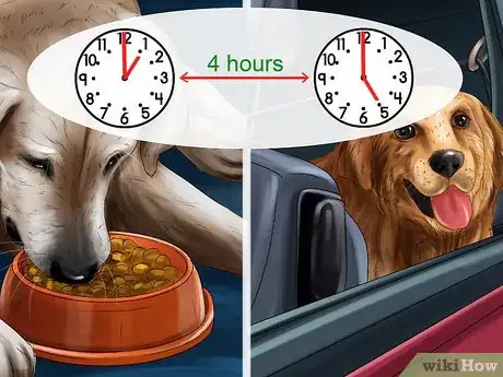 Image titled Prevent Your Dog from Becoming Carsick Step 7