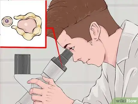 Image titled Choose an Ovulation Predictor Kit Step 4