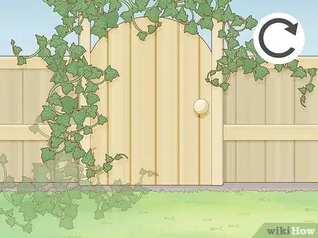 Image titled Prune Gate Vines Step 6