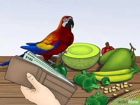 Image titled Calculate the Cost to Adopt a Parrot Step 11