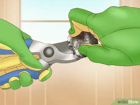 Image titled Sharpen Pruning Shears Step 7