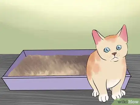 Image titled Earn a Kitten's Trust Step 14