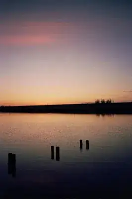 Image titled Stumps_657