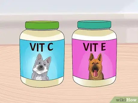 Image titled Holistically Care for a Dog Step 11