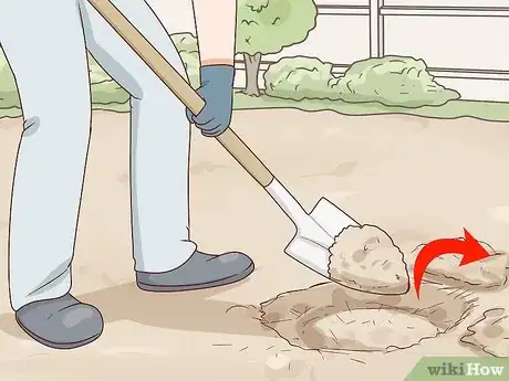 Image titled Plant Turing Sunflowers Step 2