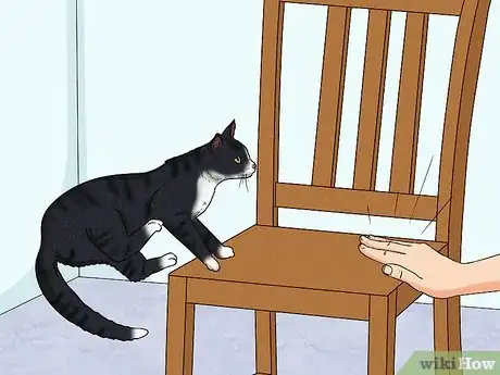 Image titled Train a Deaf Pet Step 3