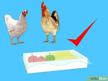 Image titled Feed Chickens Organically Step 5