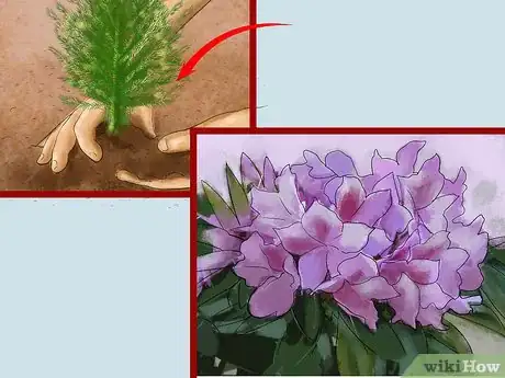 Image titled Protect an Outdoor Cat from Excess Sunlight Step 5