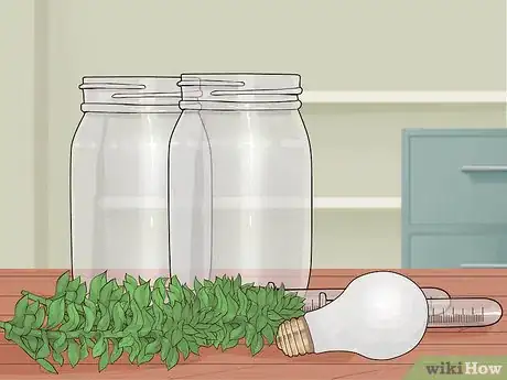 Image titled Show Oxygen Is a By Product of Photosynthesis Step 1