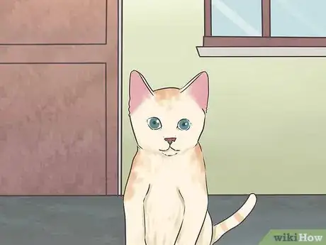 Image titled Earn a Kitten's Trust Step 12
