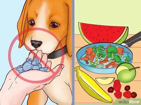 Image titled Keep Your Dog Safe on Halloween Step 1