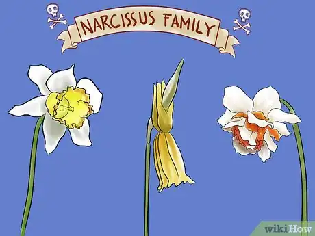 Image titled Care for Fresh Cut Tulips Step 12