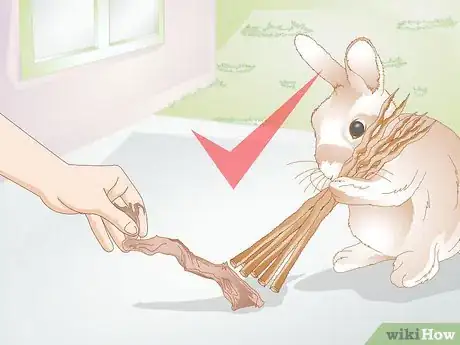 Image titled Treat Dental Problems in Rabbits Step 12