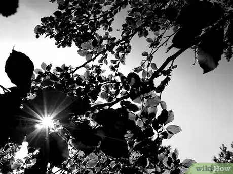 Image titled Practice Compassion Meditation Step 5