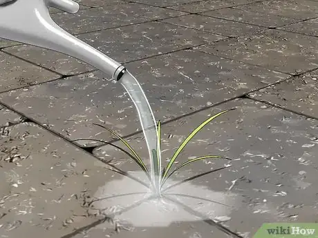Image titled Control Lawn Weeds Step 3
