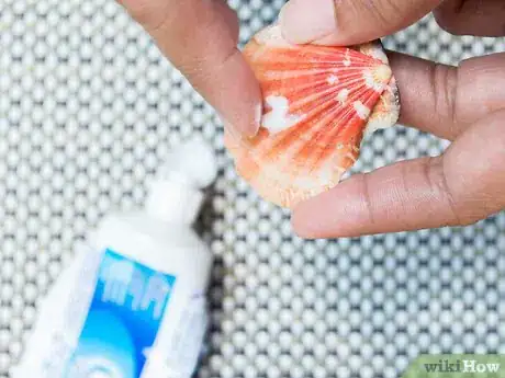 Image titled Clean and Polish Seashells Step 9