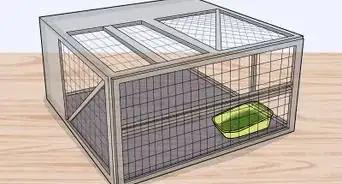 Make a Litter Box for Your Rabbit