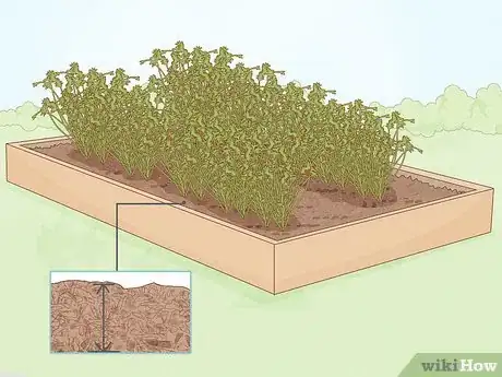 Image titled Grow Food in Winter Step 4