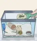 Make a Comfortable Gerbil Home