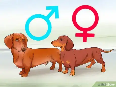Image titled Avoid Crossbreeding As a Dog Breeder Step 1