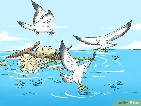 Image titled Catch Dorado Fish Step 3