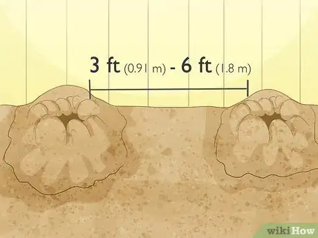 Image titled Grow Loofah Sponges Step 6