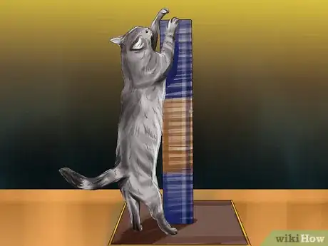 Image titled Take Care of a Li Hua Cat Step 11