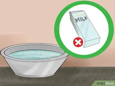 Image titled Take Care of a Japanese Bobtail Step 8