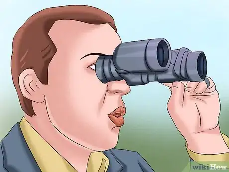 Image titled Identify a New Zealand Dolphin Step 15