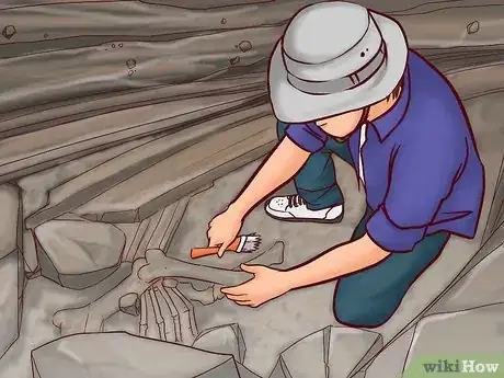 Image titled Date Fossils Step 6