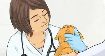 Recognize Symptoms of Cat Scratch Disease