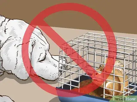 Image titled Keep a Pet Squirrel Step 15