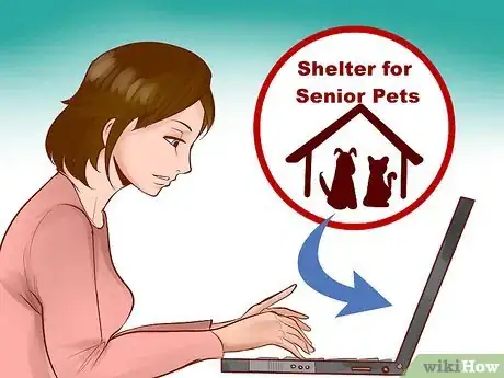 Image titled Adopt an Old Cat Step 5