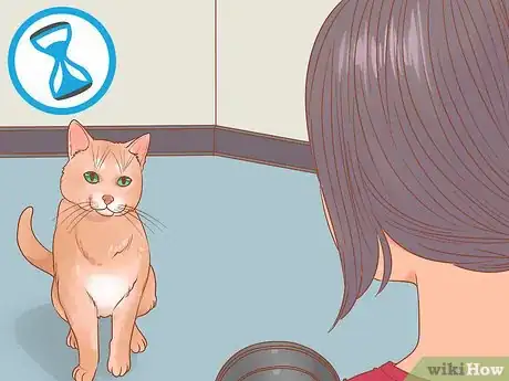 Image titled Photograph Cats Step 4