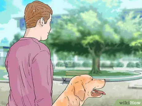 Image titled Enhance Your Dog's Recall Step 1