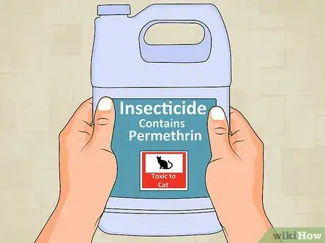 Image titled Get Rid of a Maggot Infestation Step 8