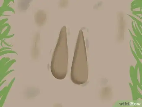 Image titled Stalk a Deer Step 11